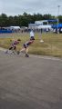 VideoCapture_20250525-180611.jpg