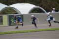 DSC07690.JPG