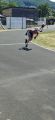 IMG-20260628-WA0007.jpg