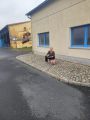 IMG-20260822-WA0014.jpg