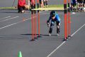 DSC01092.JPG