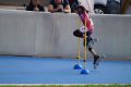DSC02896.JPG